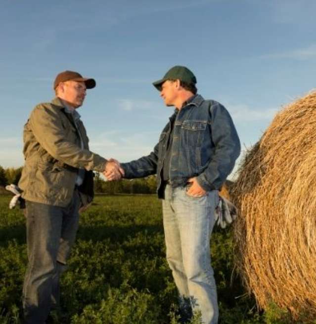 {{alt_image_article	}}