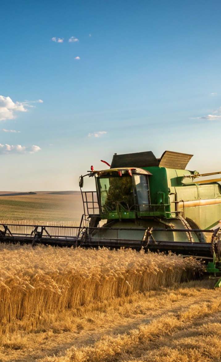 Moissonneuse bateuse dans un champ